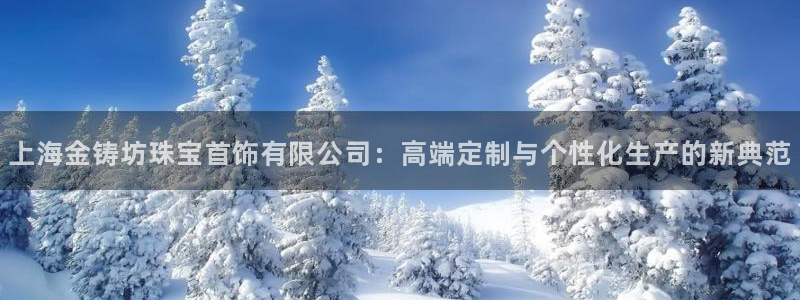 天宏娱乐董叔:上海金铸坊珠宝首饰有限公司:高端定制与个性化生
