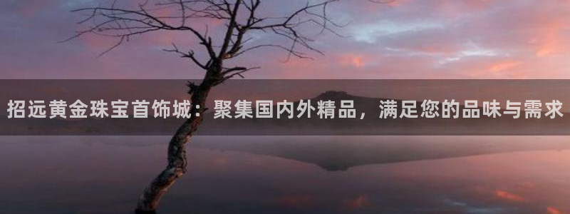 天宏娱乐星空大叔:招远黄金珠宝首饰城:聚集国内外精品,满足您