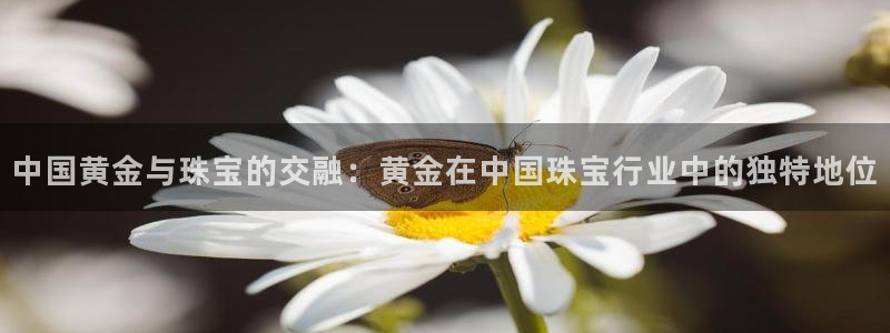 天宏娱乐董叔:中国黄金与珠宝的交融:黄金在中国珠宝行业中的独